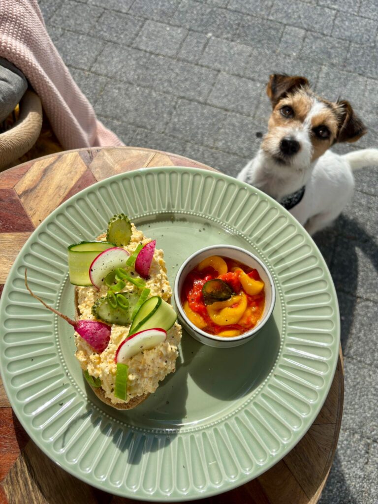 b2a64b7f-f816-4bca-a4bb-3aa22529665c